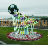 ВОЛНА с футбольным мячом, цветочница с термочашами и декоративным мяча