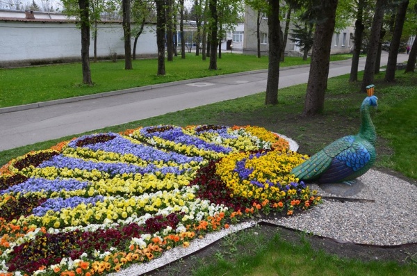 ПАВЛИН с цветочным хвостом-ковром, арт-объект, топиарная фигура от производителя: завод городской уличной мебели Lora-Park